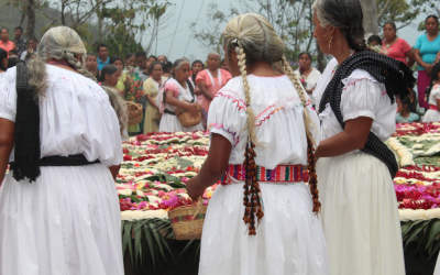 Los cambios en la concepción del patrimonio cultural y la cultura