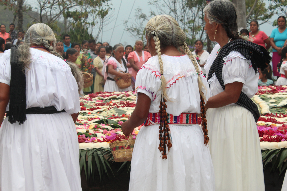 Los cambios en la concepción del patrimonio cultural y la cultura